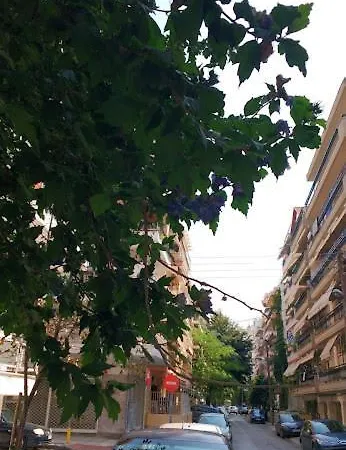 In The Sun Individual סלוניקי