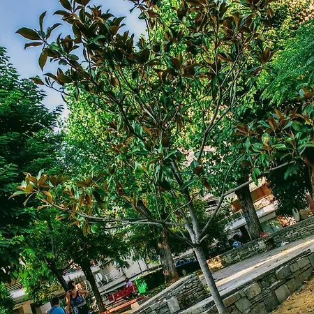 In The Sun Individual * Tesalónica