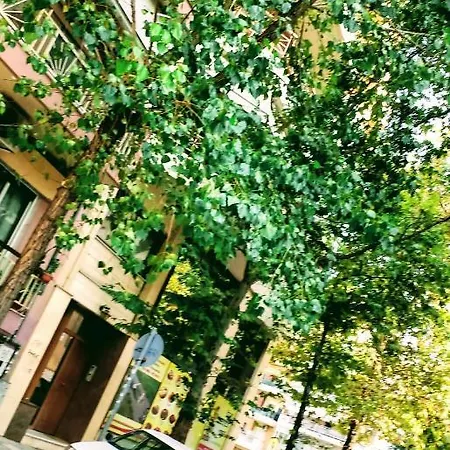 In The Sun Individual *