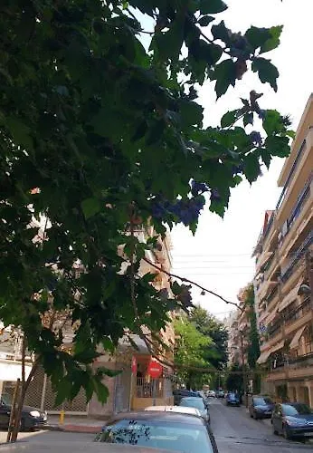 In The Sun Individual Selanik