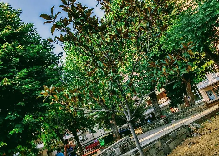 In The Sun Individual * Selanik