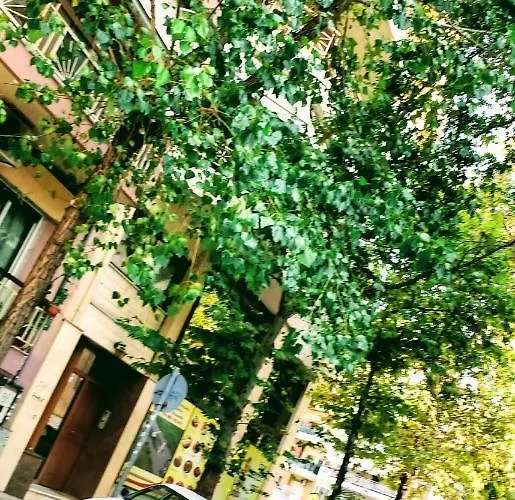 In The Sun Individual *