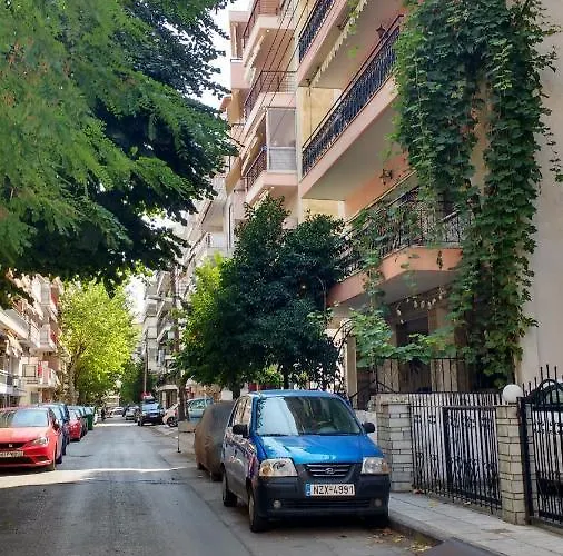 In The Sun Individual * Salonic